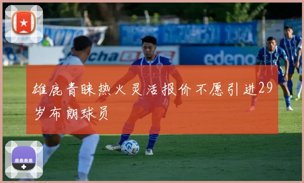 雄鹿青睐热火灵活报价不愿引进29岁布朗球员